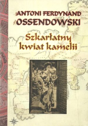 Szkarłatny kwiat kamelii