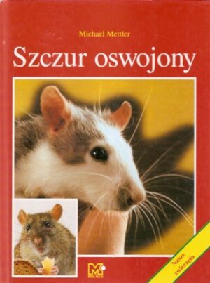 Szczur oswojony