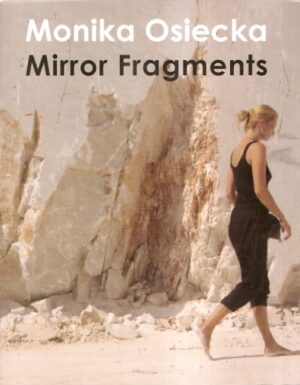 Mirror Fragments