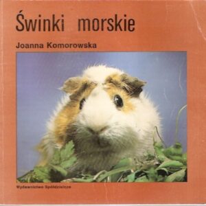 Świnki morskie