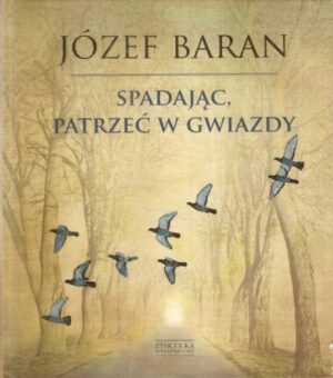 Spadając, patrzeć w gwiazdy
