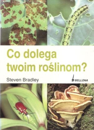 Co dolega twoim roślinom?