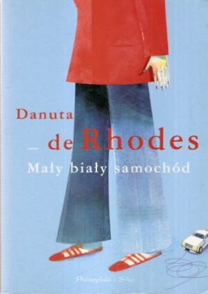 Mały biały samochód