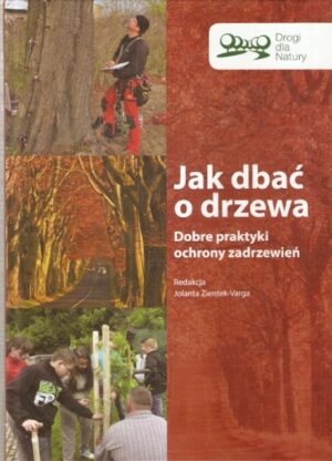 Jak dbać o drzewa