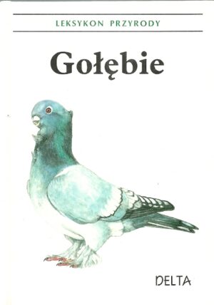 Gołębie