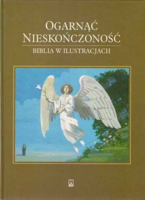 Ogarnąć nieskończoność - Biblia w ilustracjach