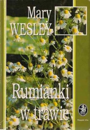 Rumianki w trawie