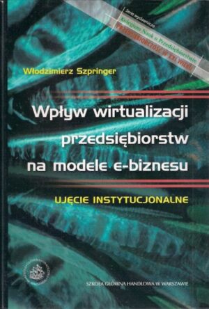 Wpływ wirtualizacji przedsiębiorstw na modele e-biznesu - Ujęcie instytucjonalne