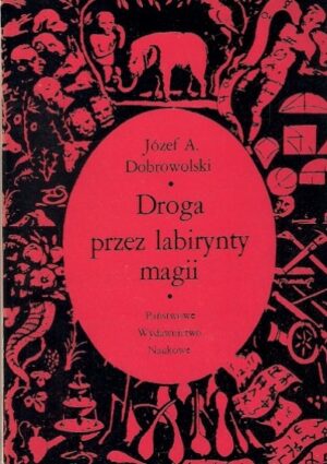 Droga przez labirynty magii