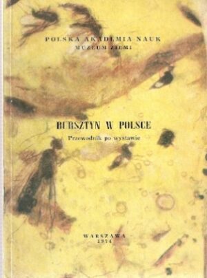 Bursztyn w Polsce - Przewodnik po wystawie