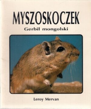 Myszoskoczek (Gerbil mongolski)