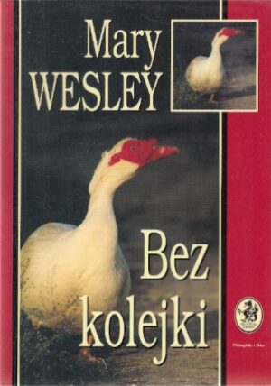 Bez kolejki