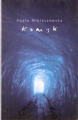 Kamyk