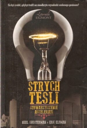 Strych Tesli [Stowarzyszenie Accelerati]