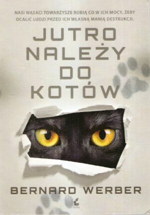 Jutro należy do kotów