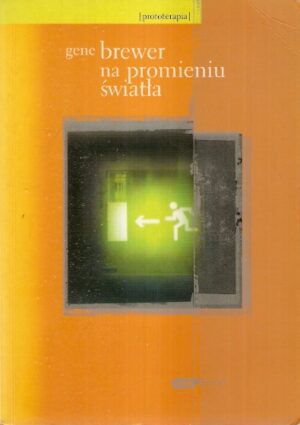 Na promieniu światła