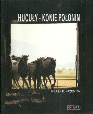 Hucuły - konie połonin