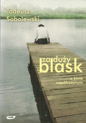 Za duży blask. O kinie współczesnym.