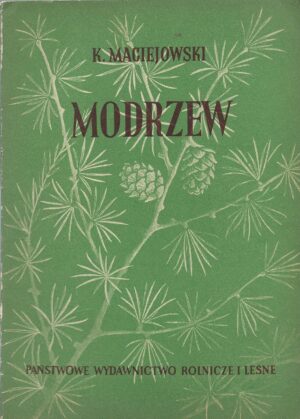 Modrzew