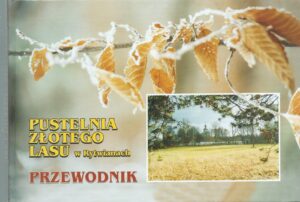 Pustelnia złotego lasu w Rytwianach. Przewodnik.
