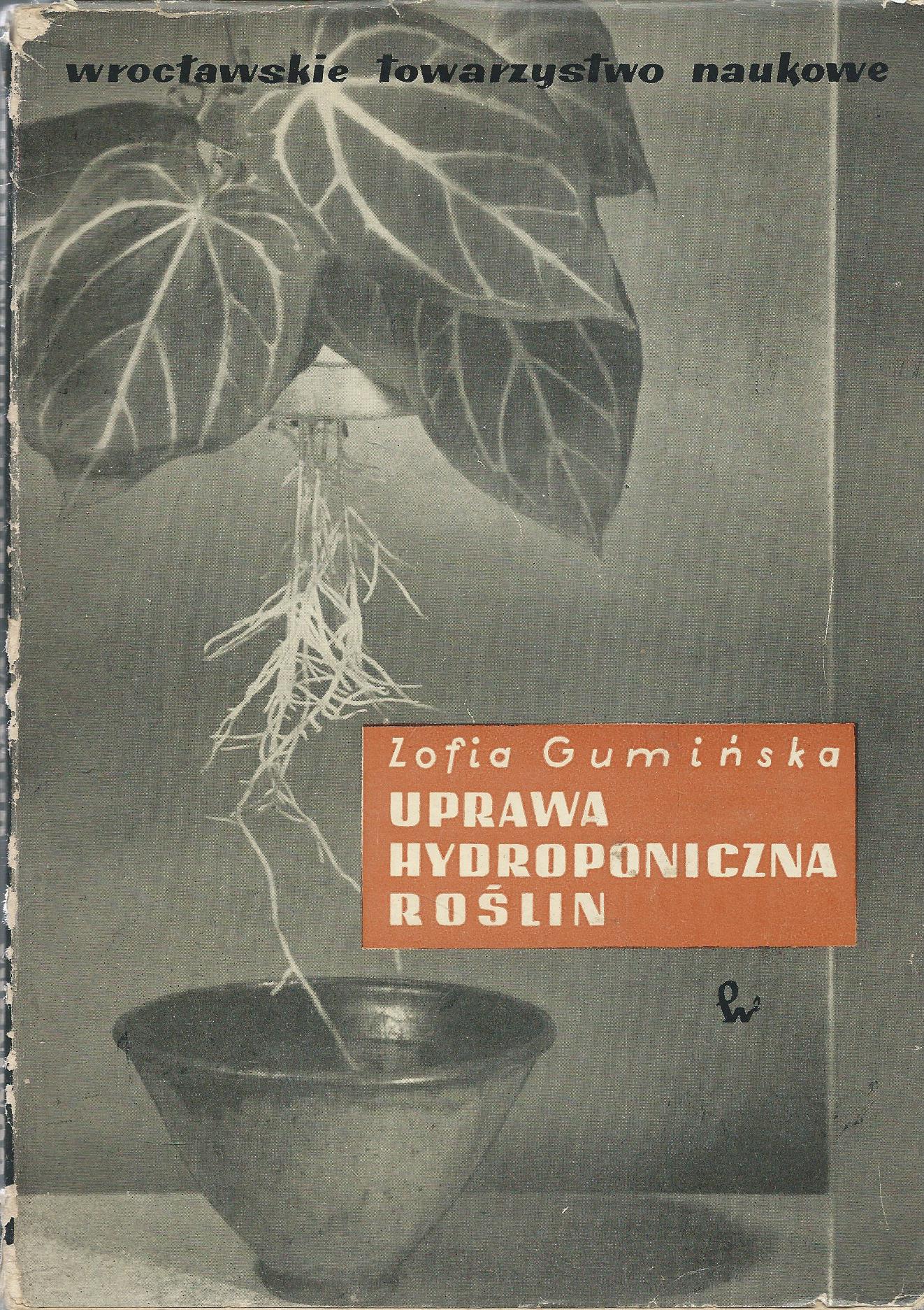 Uprawa hydroponiczna roślin